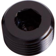 NPT Plug's